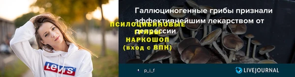 дурь Абаза