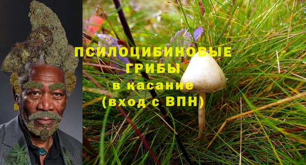 дурь Абаза