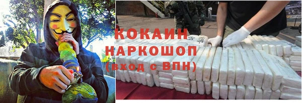 гашик Кущёвская