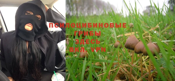 ALPHA PVP Абдулино