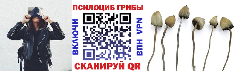 Псилоцибиновые грибы ЛСД Правдинск